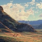 arlo-und-spot-01