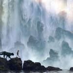 The Jungle Book (2016) Filmkritik