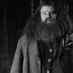 Robbie Coltrane in "Harry Potter und der Feuerkelch" (2005) © Warner Bros. Pictures