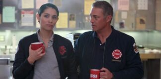 Chicago Fire Staffel 13