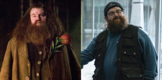 Harry Potter Serie Hagrid
